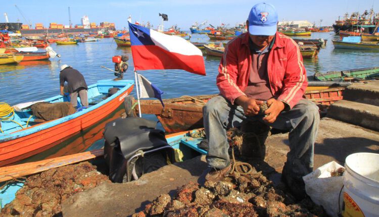 Chile: Triunfo legal a pescadores artesanales