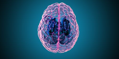 Sei modi per “riavviare il cervello” dopo un duro anno di COVID-19, secondo la scienza