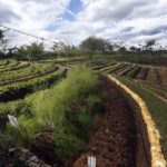 Una finca cubana desarrolla una sostenibilidad hecha a mano