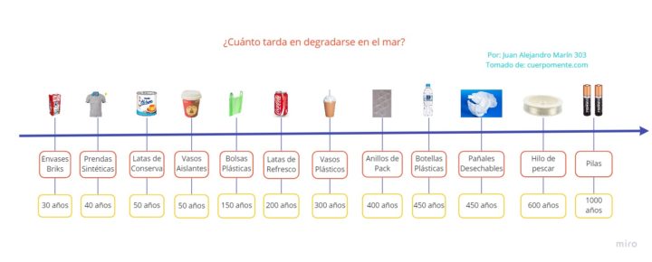 Colombia: ¿CÓMO DISFRUTAR DEL MAR SIN AFECTAR LAS ESPECIES MARINAS?