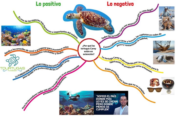 Colombia: ¿CÓMO DISFRUTAR DEL MAR SIN AFECTAR LAS ESPECIES MARINAS?