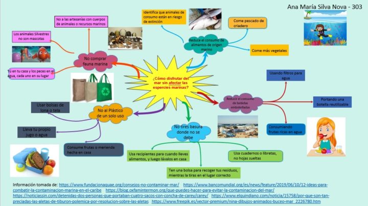 Colombia: ¿CÓMO DISFRUTAR DEL MAR SIN AFECTAR LAS ESPECIES MARINAS?