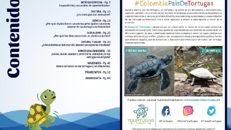 Colombia: ¿CÓMO DISFRUTAR DEL MAR SIN AFECTAR LAS ESPECIES MARINAS?
