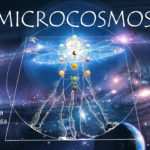 Canal Microcosmos: l’univers interior