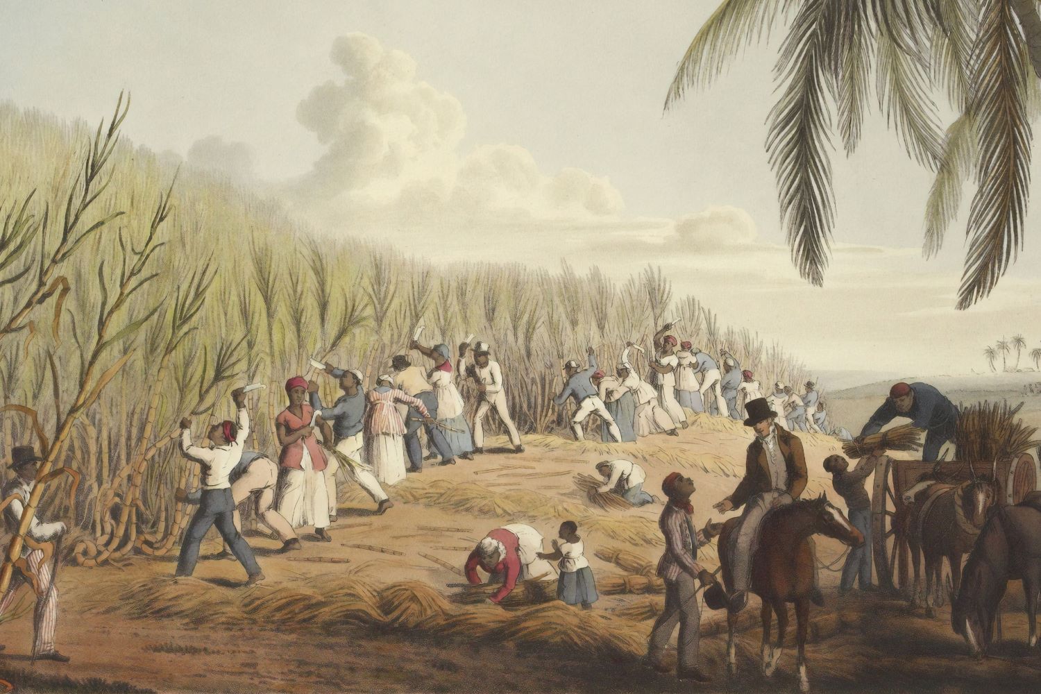 transatlantic-slave-trade-key-facts-britannica