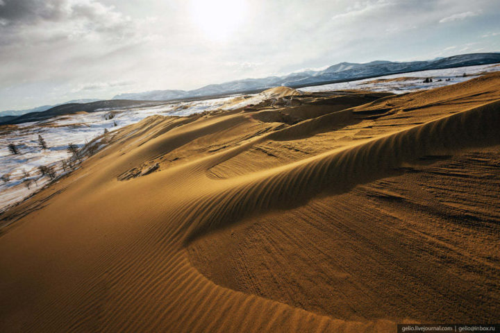 Foto incredibili che mostrano un “deserto” nel sud della Siberia, coperto di sabbia e neve allo stesso tempo