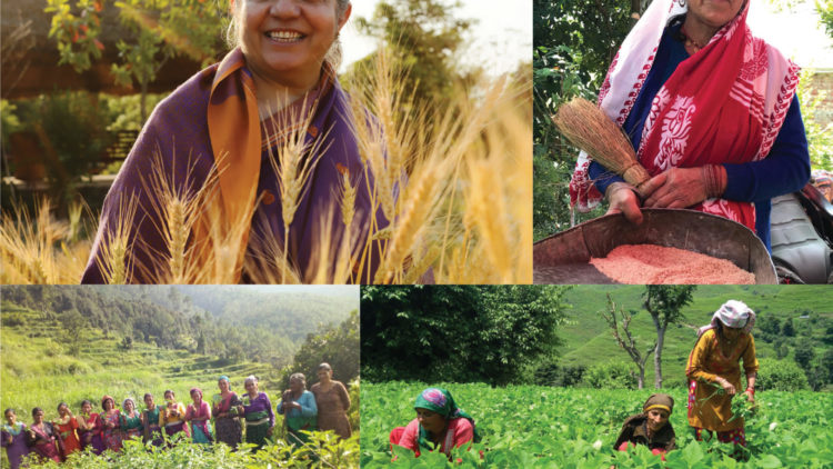 Vandana Shiva: Wer ernährt die Welt wirklich? - Eine Buchrezension