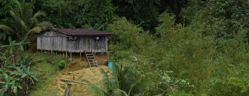 Colombia; despojo invisible de una selva chocoana