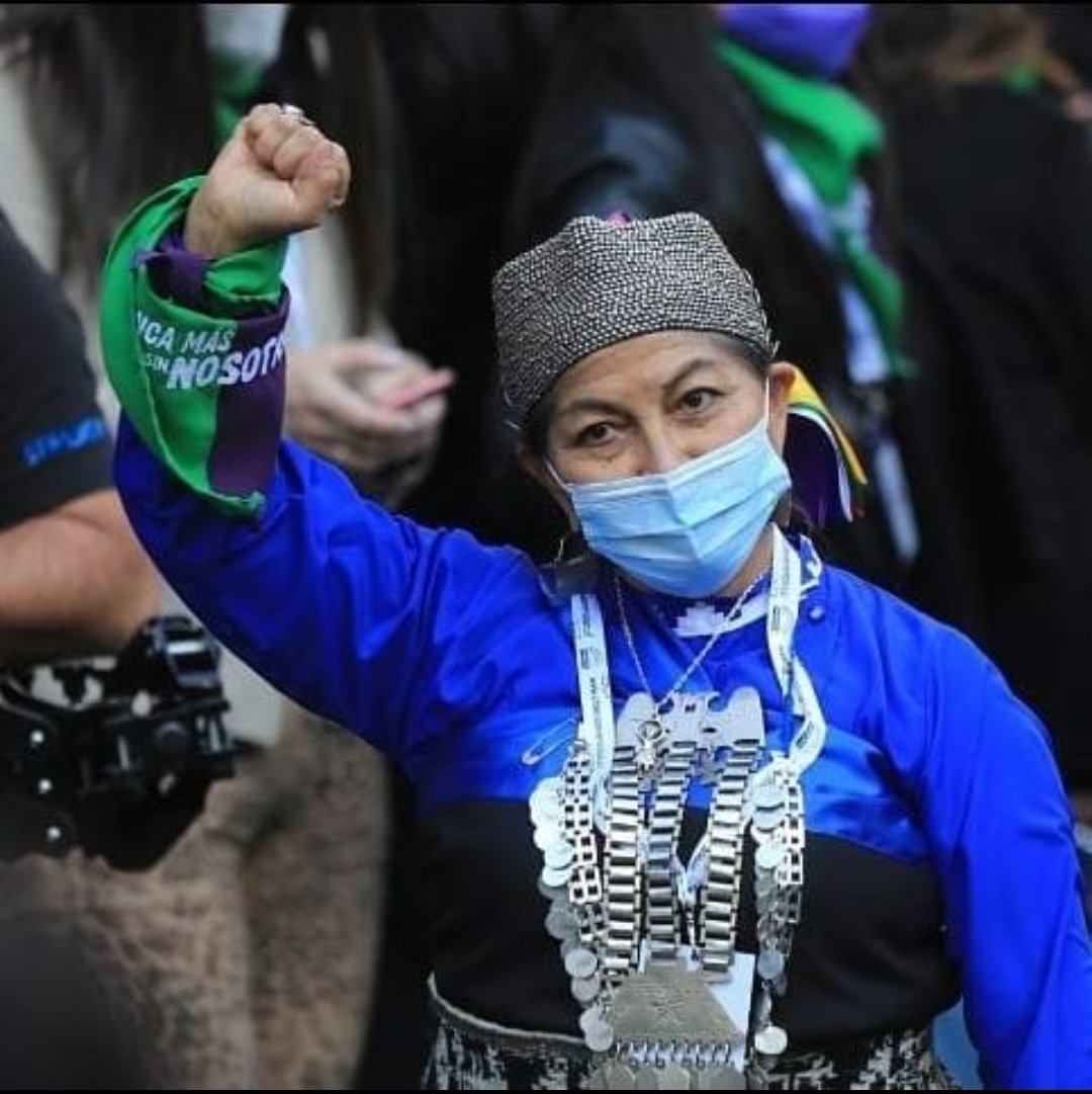 Mapuche Woman Elected President Of The Chilean Constitutional Convention