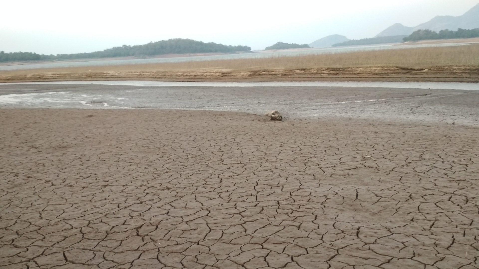 Drought Clobbers the World - PRESSENZA – International News Agency