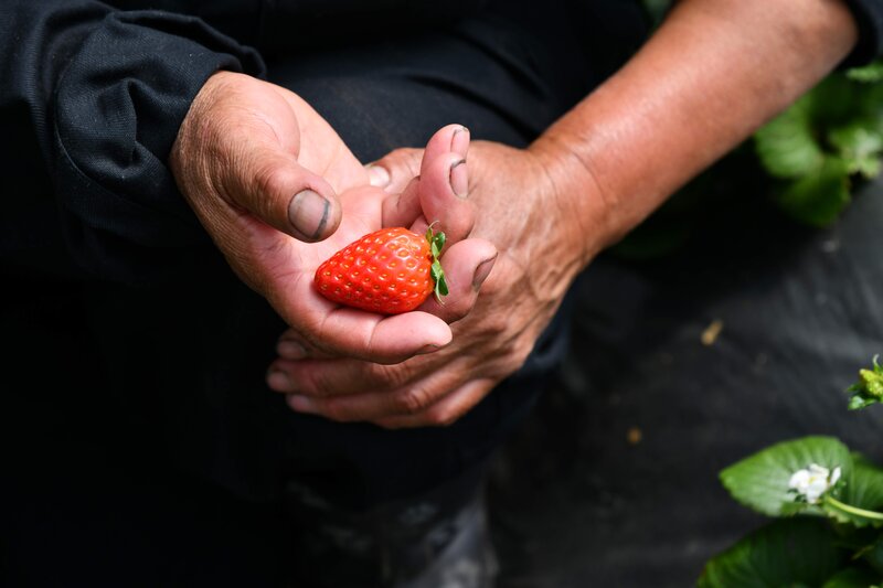 Colombia: en Nariño, pacificadores