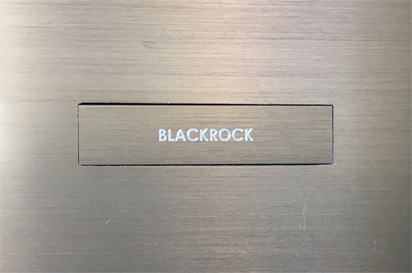 BlackRock & Co. enteignen!