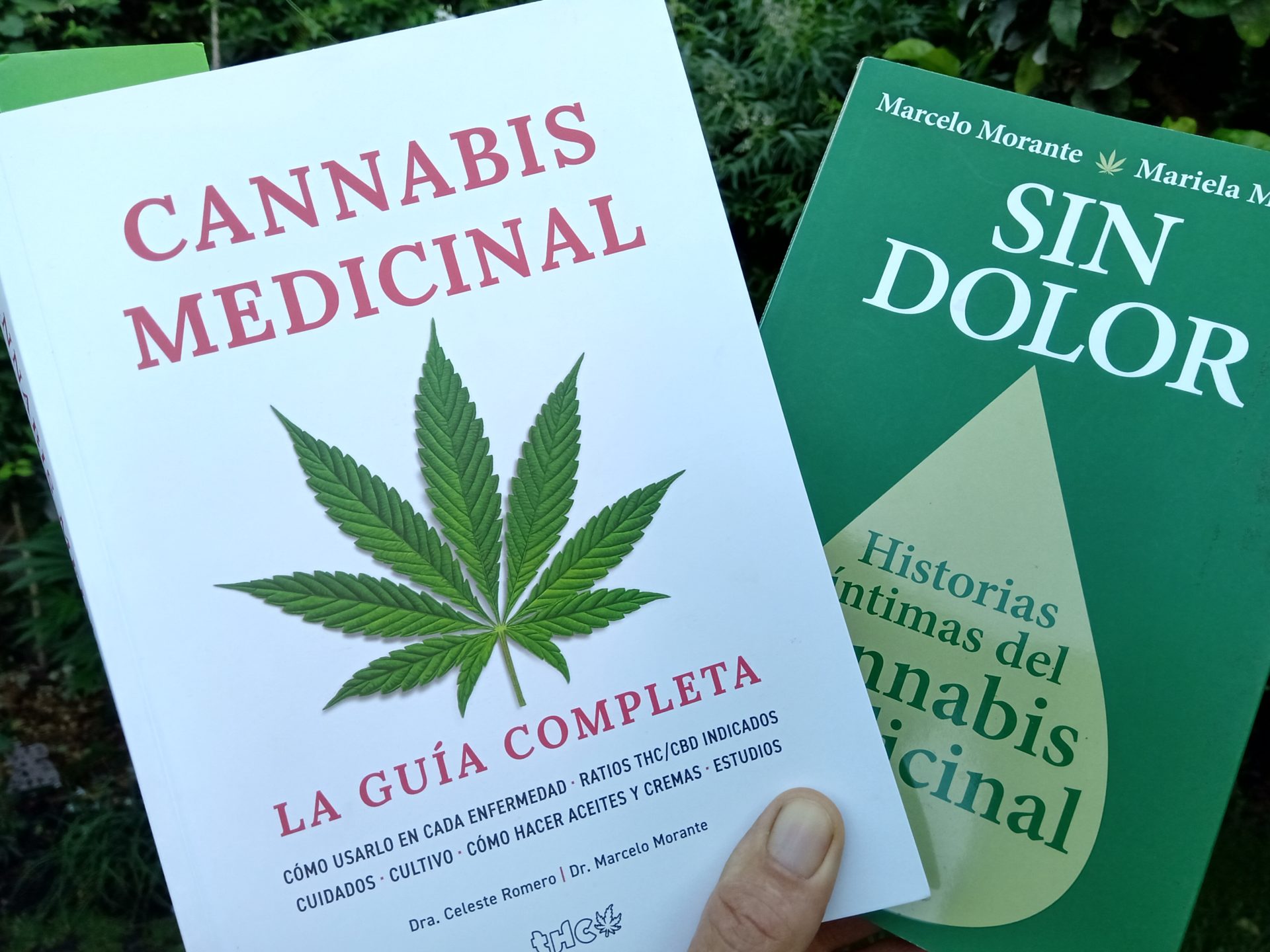 Cannabis por uso terapeutico
