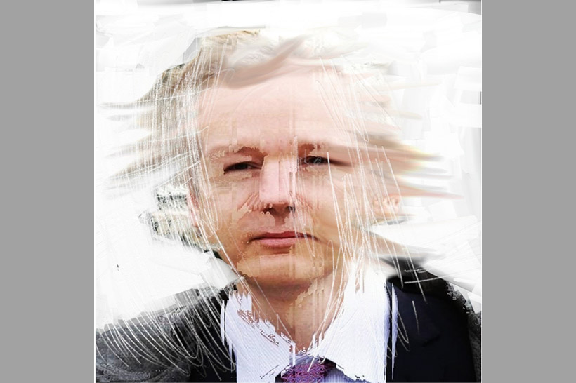 Biennale von Venedig: "AIIA: Assange ist Internet Internet ist Assange"