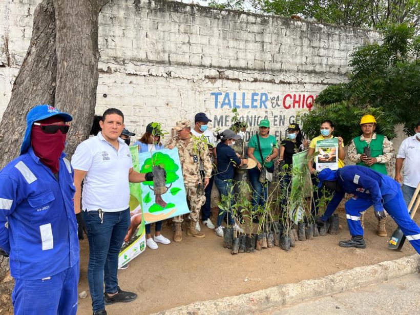 Día Mundial del Árbol en Maicao