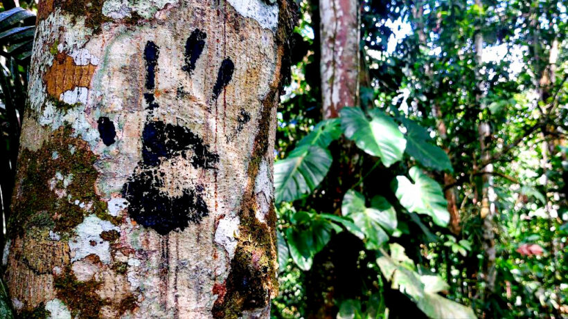 La mano oscura de la contaminación.