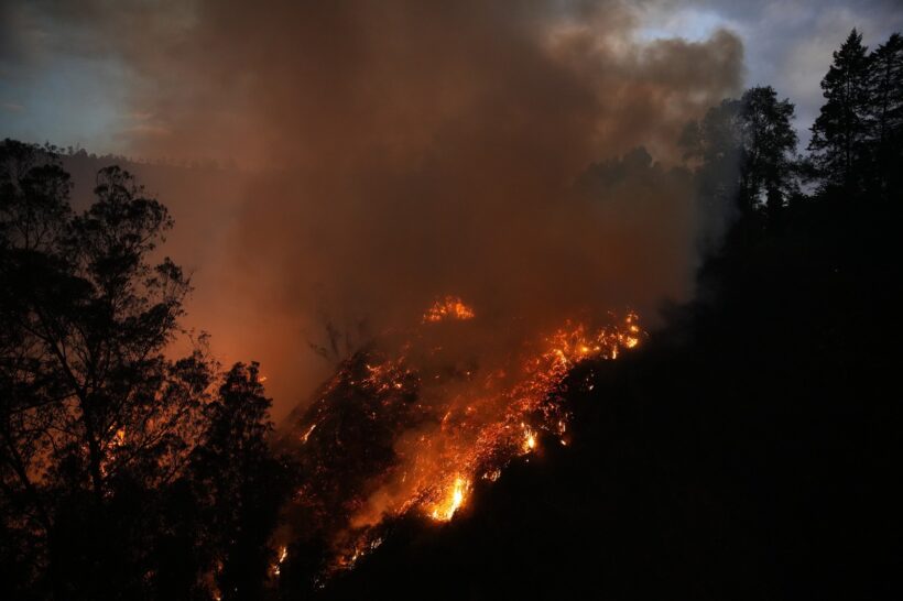 Incendios forestales en Quito 03 / Carlos Noriega