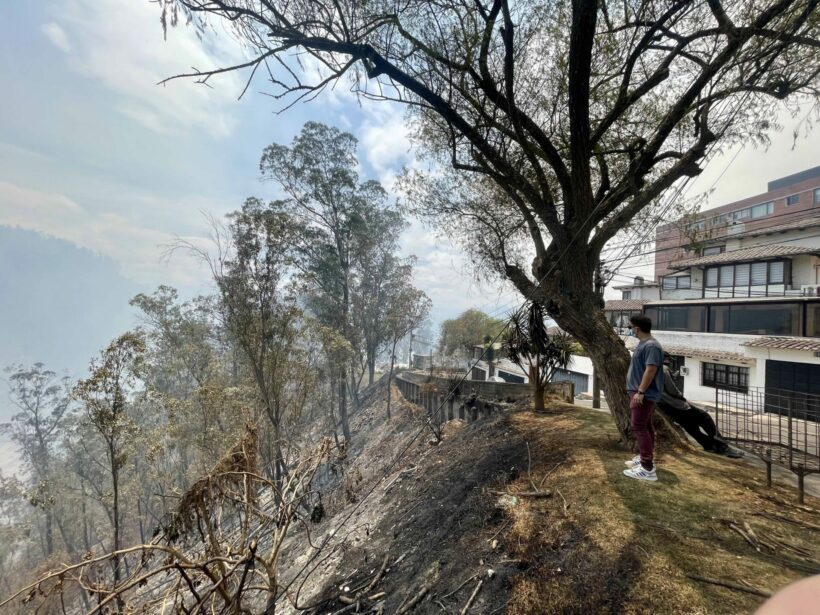 Incendios forestales en Quito afectaron muy de cerca a zonas de vivienda.