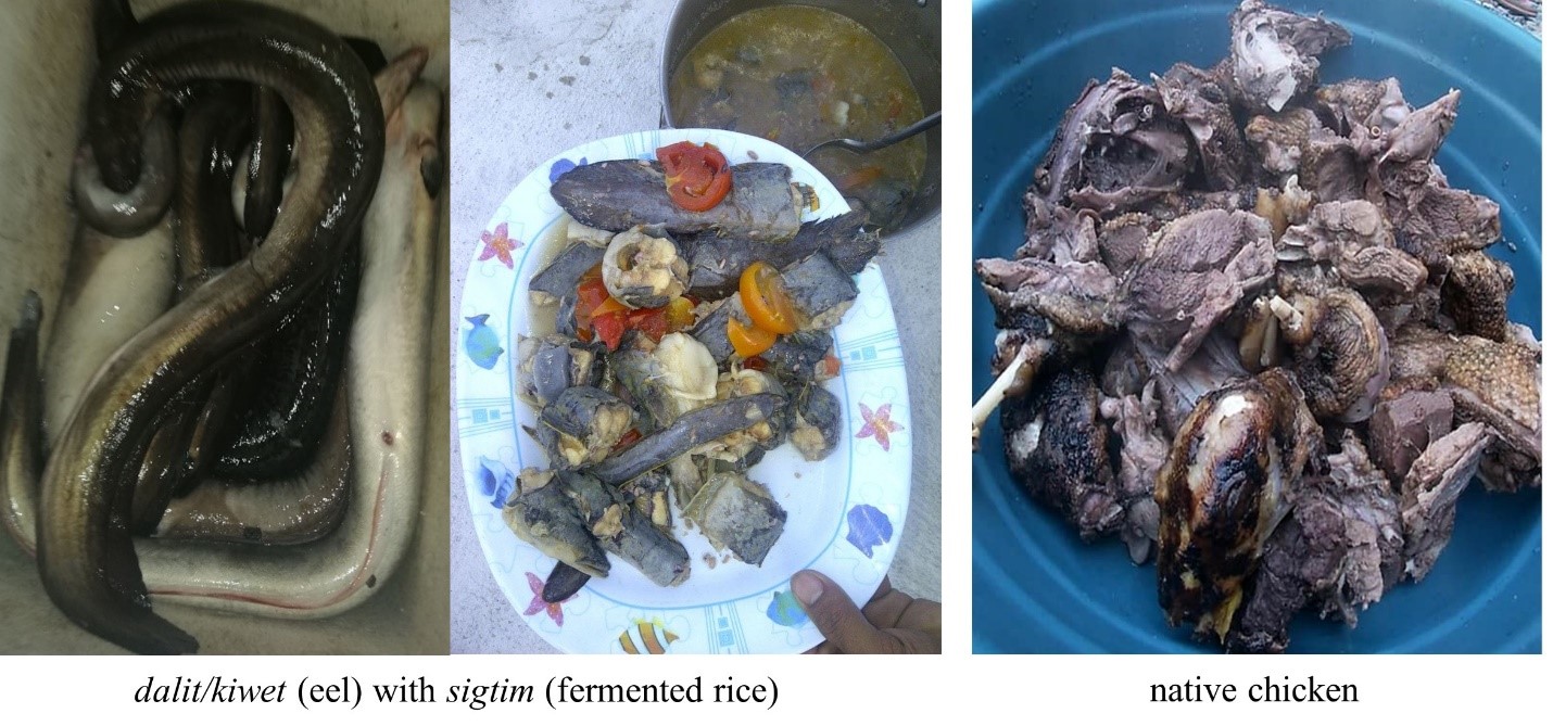 SUKAT DI MAKAN: A Traditional Kankanaey Food Exchange Ritual Before ...