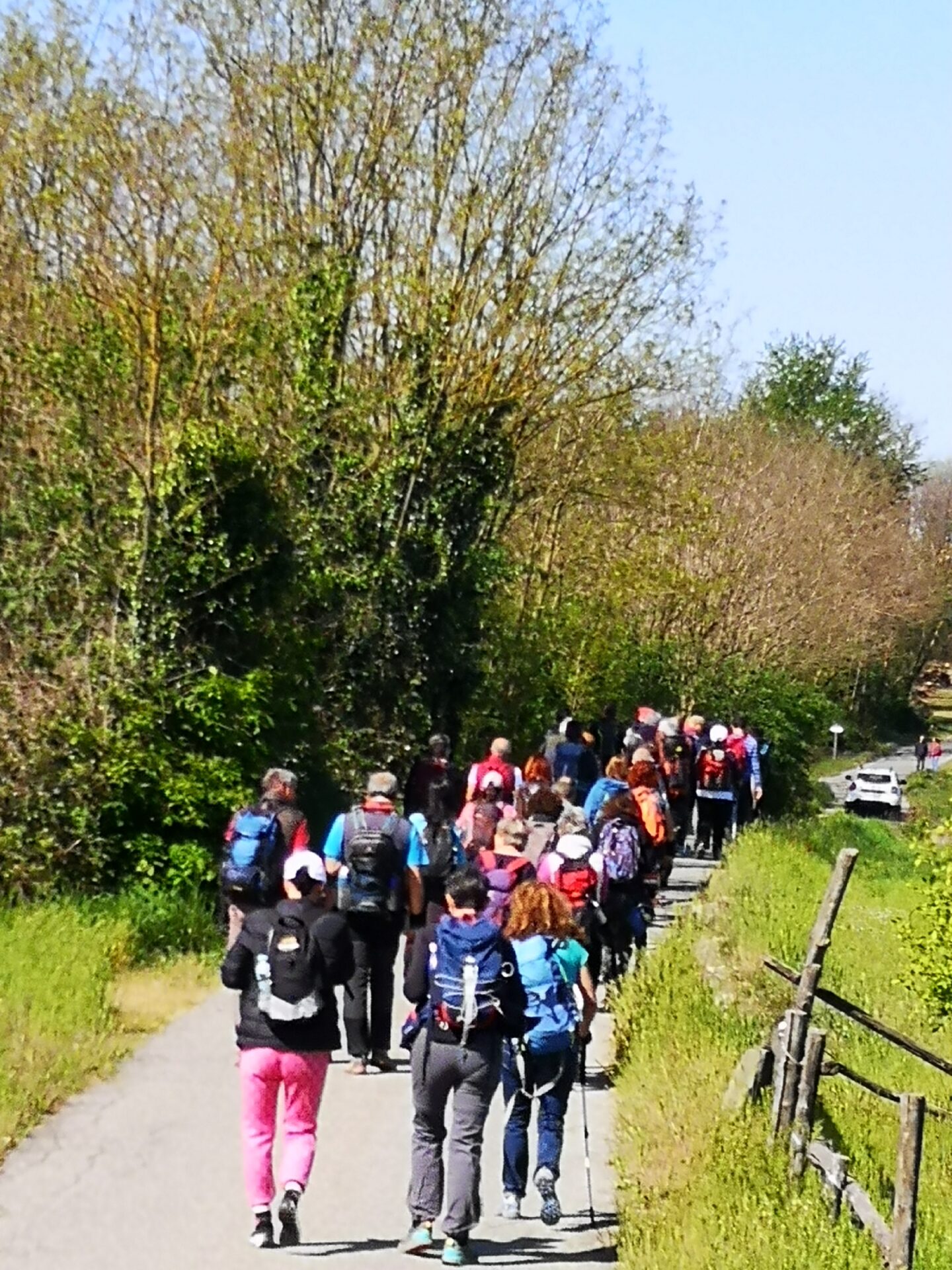 Immagine di una camminata