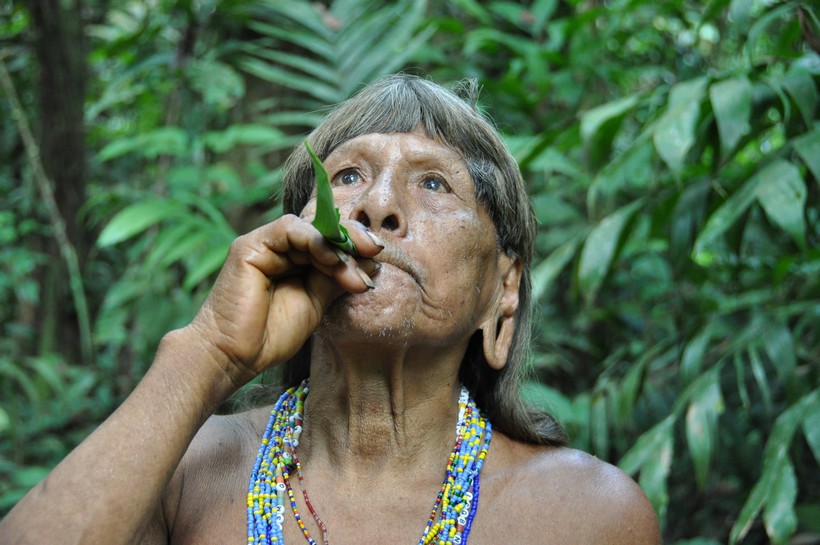 Amazonas: Völker und Biodiversität durch Abholzung und Ausbeutung bedroht – Interview mit Christian Puech