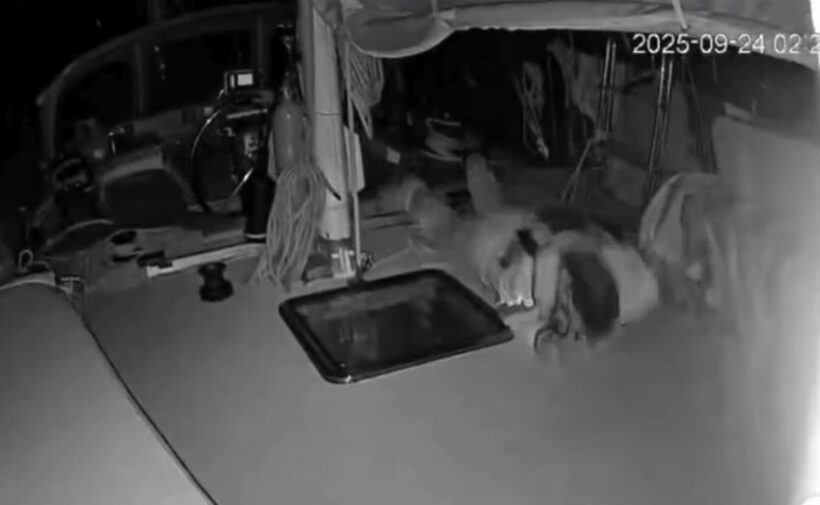 attacco alla Flotilla