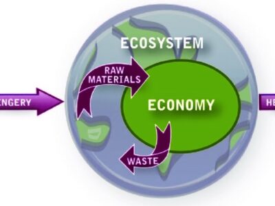 Ecological economics views the economy as a subset of the larger ecological environment.