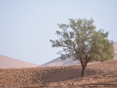 sahara-desert-gc07924fb1_1280