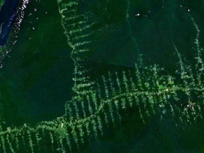 Deforestation in Amazonia - the roads in the forest follow a typical "fishbone" pattern.