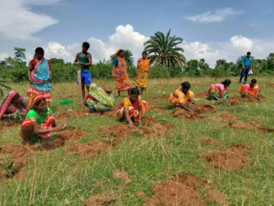 In Jhargram, a small village in the state of West Bengal, a group of women farmers prepare seedlings in the collective plot of land selected for the purpose.