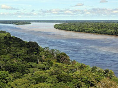 Amazonas - Regenwald (de.wikipedia.org)