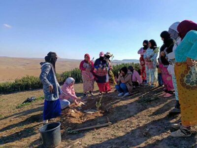 Enhancing skills in tree planting with members of a cooperative in Morocco.