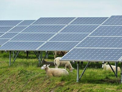 Biggest Solar Park of the Benelux