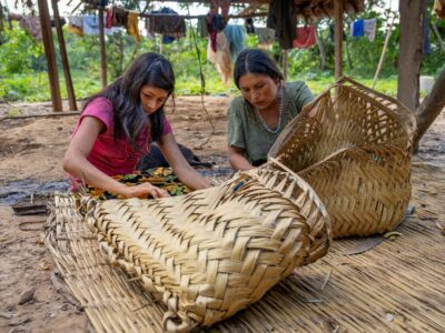 Tsimane women weaving baskets out of palm tree leaves (Attalea phalerata) in the Bolivian Amazon.