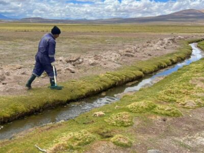 Trabajo con técnicas ancestrales en los bofedales del el altiplano. Foto: Conaf.