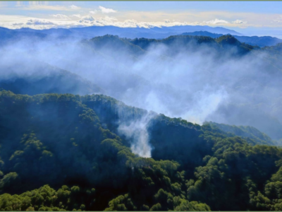 Fires Threaten the Lush Benguet Mountains. The iconic Benguet pine forests are at increasing risk as fires ignite and spread rapidly, fueled by highly combustible pine needles. The rugged mountain terrain complicates forest fire protection efforts, underscoring the urgent need for effective fire management strategies in the Cordilleras.