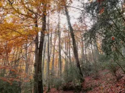 foto di Legambiente