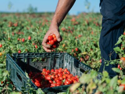 naturaSi agricoltori