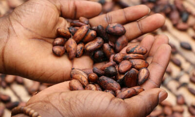 braiding-seeds-fellowship