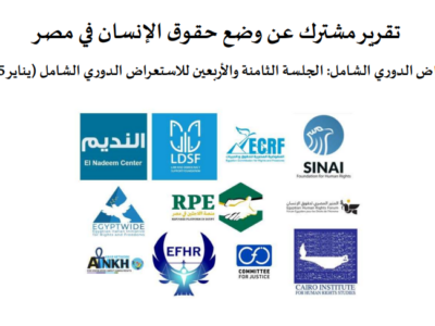 foto Associazioni diritti umani egiziani all'ONU