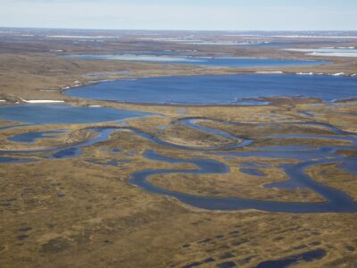 The National Petroleum Reserve in northwest Alaska on June 25, 2014.
