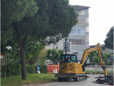 Pino viale Byron1