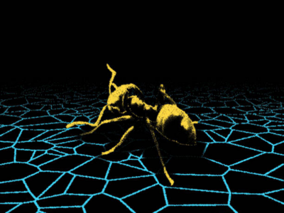 Insects are vanishing from pristine rainforests. “Around the world many insect populations are crashing.” (Natural History Museum, April 2025).