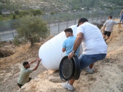 action in Palestine