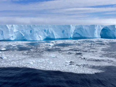 Hunzi Antartica alert