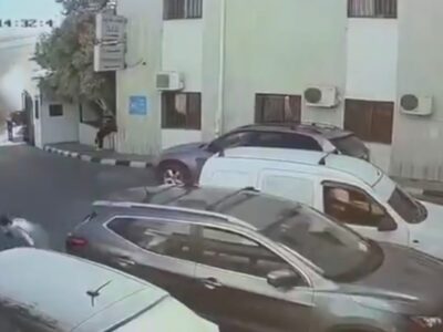 WhatsApp Image 2025-09-22 at 1.59.33 PM