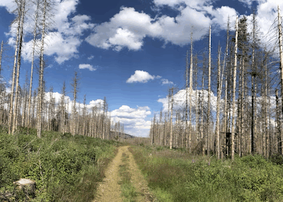 Hunziker EU Climate