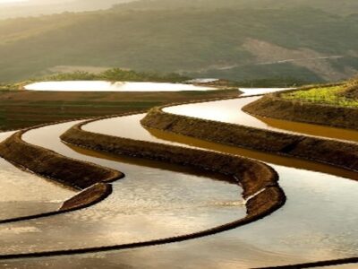 campo 2
