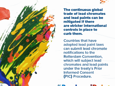 Environmental health and justice groups push for stricter rules to control global trade of lead chromates and paints containing them.