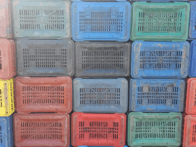 Κεντρική λαχαναγορά Ρέντη, φωτογραφία pressenza.